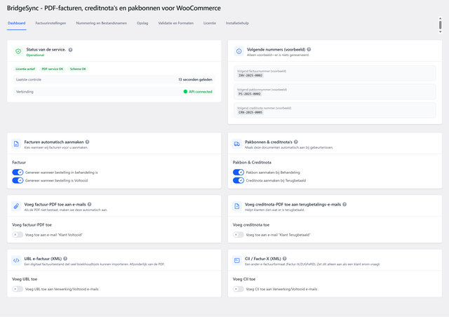 BridgeSync PDF Facturen dashboard — servicestatus en automatisch facturen, pakbonnen en creditnota’s.